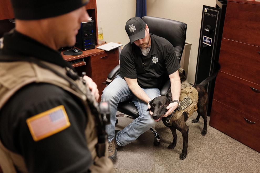 Alex Wittwer Photo
Union County Sheriff Cody Bowen pets K-9 unit Molly in his office on Friday, Feb. 19, 2021, as her handler, deputy Dane Jensen, discusses the benefits she brings to the sheriff's office.